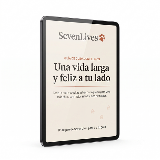 Guia Cuidados Felinos