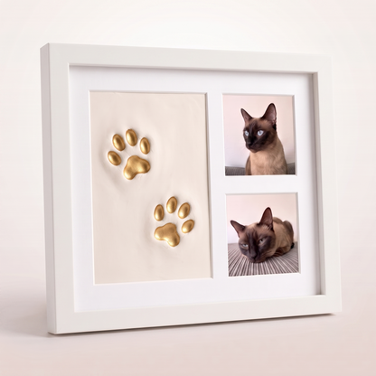 Kit Huella de Gato en Arcilla
